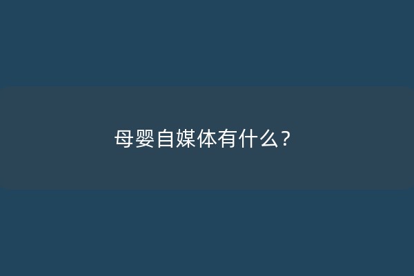 母婴自媒体有什么？