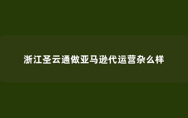 浙江圣云通做亚马逊代运营杂么样