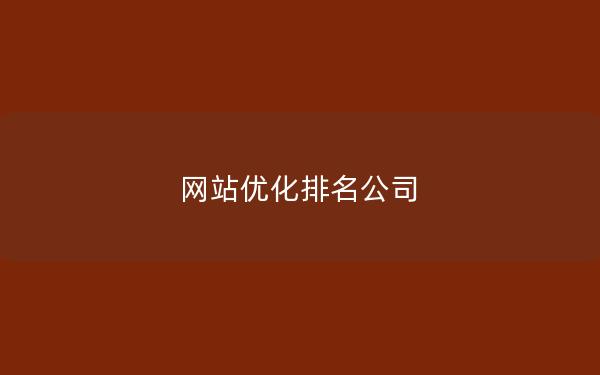 网站优化排名公司