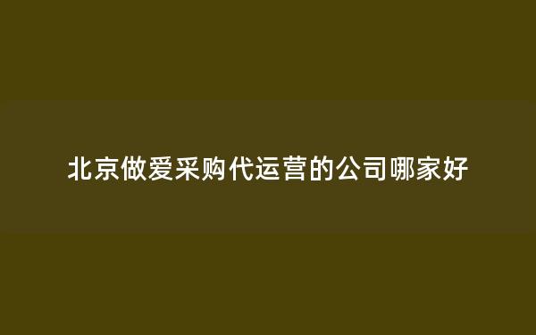 北京做爱采购代运营的公司哪家好