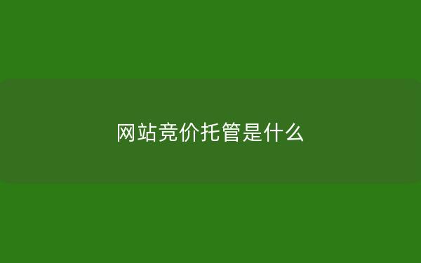 网站竞价托管是什么