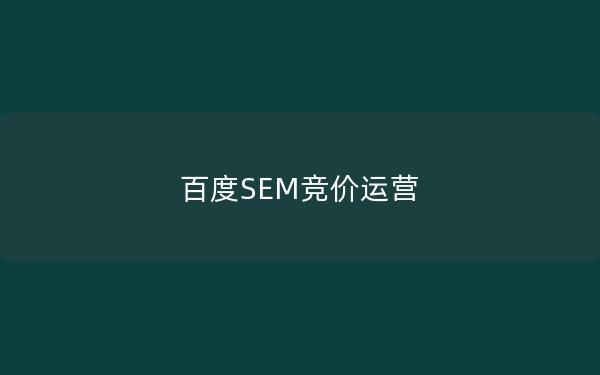 百度SEM竞价运营