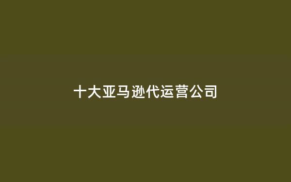 十大亚马逊代运营公司