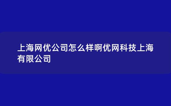 上海网优公司怎么样啊优网科技上海有限公司