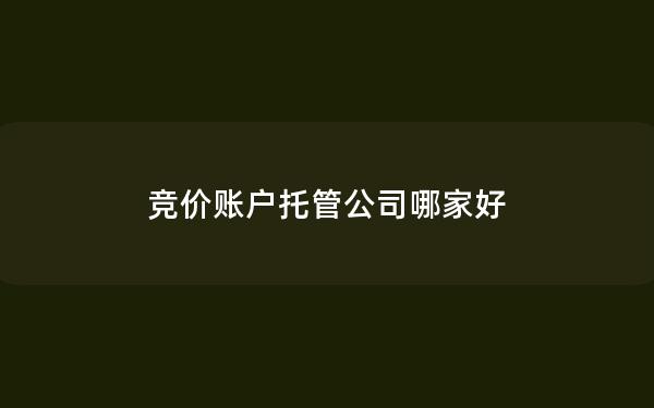 竞价账户托管公司哪家好