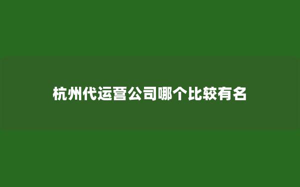 杭州代运营公司哪个比较有名