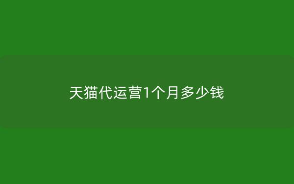 天猫代运营1个月多少钱