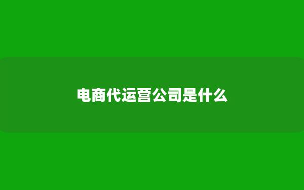 电商代运营公司是什么