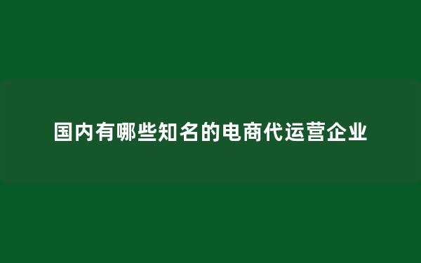 国内有哪些知名的电商代运营企业