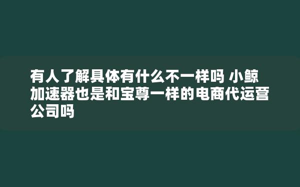 有人了解具体有什么不一样吗 小鲸加速器也是和宝尊一样的电商代运营公司吗