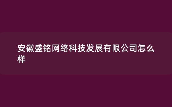 安徽盛铭网络科技发展有限公司怎么样