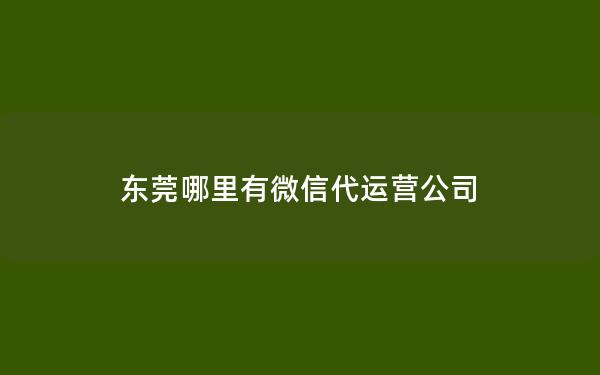 东莞哪里有微信代运营公司