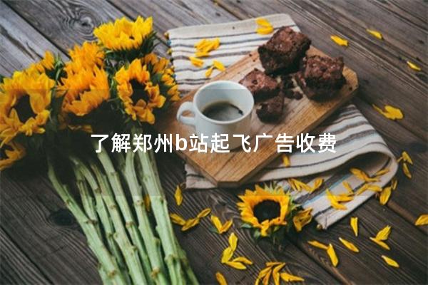 了解郑州b站起飞广告收费