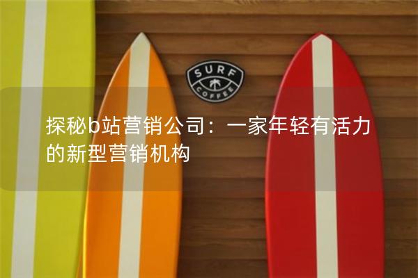 探秘b站营销公司：一家年轻有活力的新型营销机构